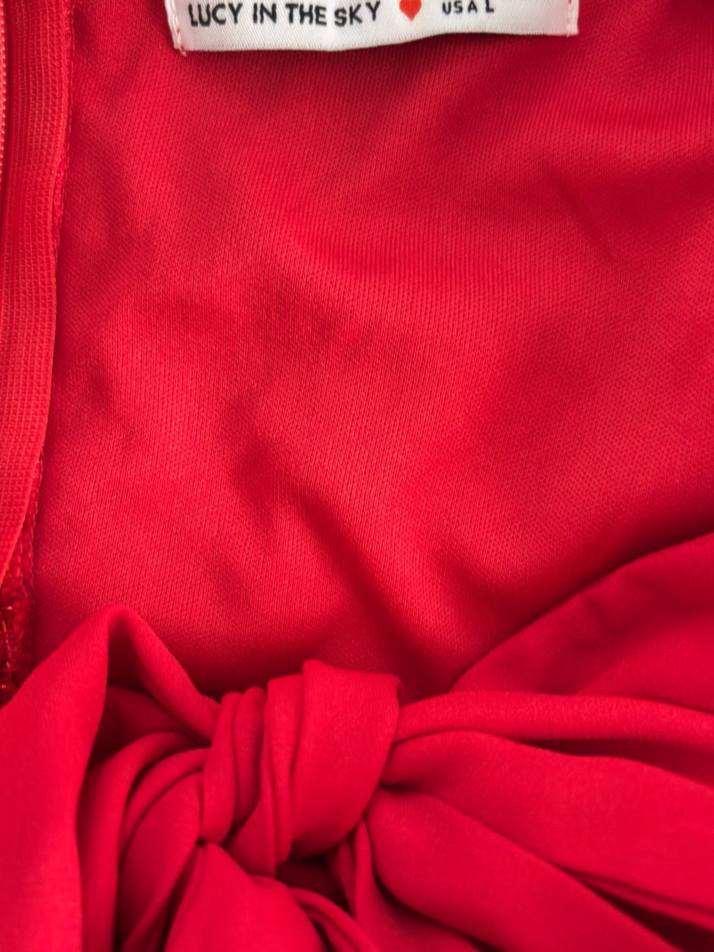 Lucy in the Sky Red Floral Embroidered Sleeveless Dress - Picture 4 of 4